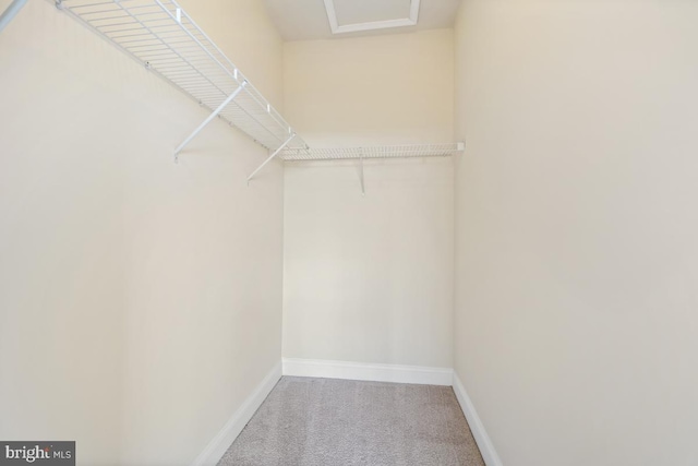 5919-2 Logans Way Unit 2, Ellicott City, MD 21043 - spacious closet with carpet flooring