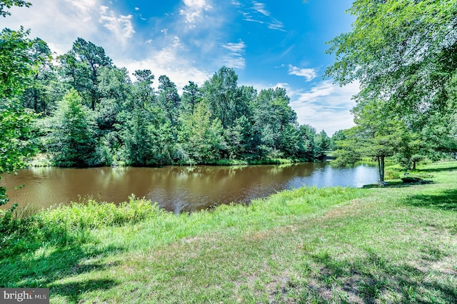 6 Finchley Ct, Southampton, NJ 08088 - water view featuring a forest