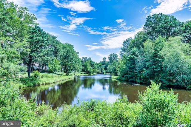 6 Finchley Ct, Southampton, NJ 08088 - water view featuring a heavily wooded area