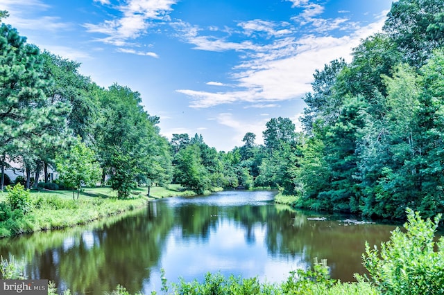 6 Finchley Ct, Southampton, NJ 08088 - water view with a heavily wooded area