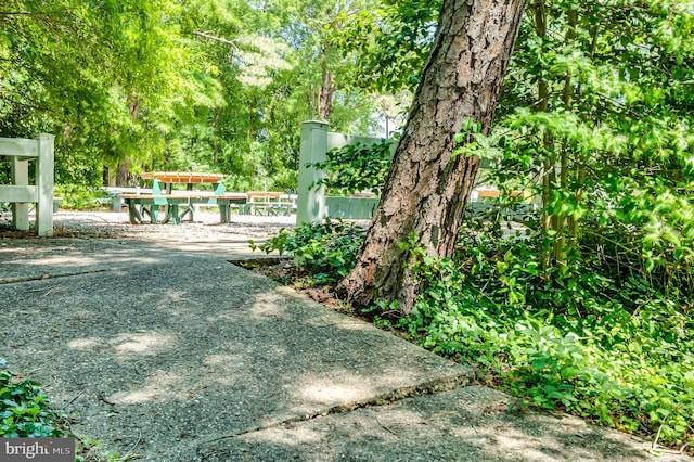 6 Finchley Ct, Southampton, NJ 08088 - view of yard