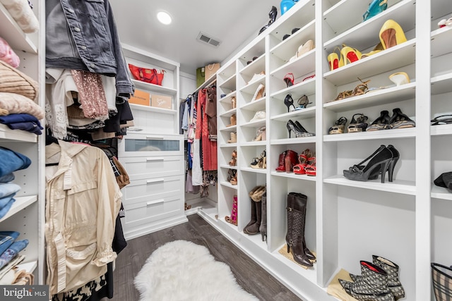 walk in closet featuring dark wood-style floors