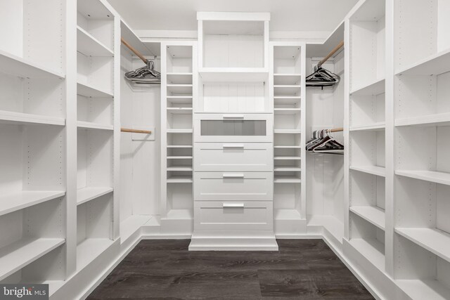 spacious closet featuring dark wood-style flooring