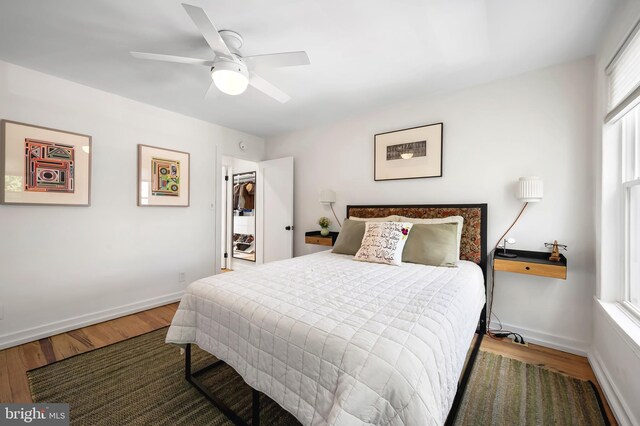 bedroom with wood finished floors, multiple windows, and baseboards