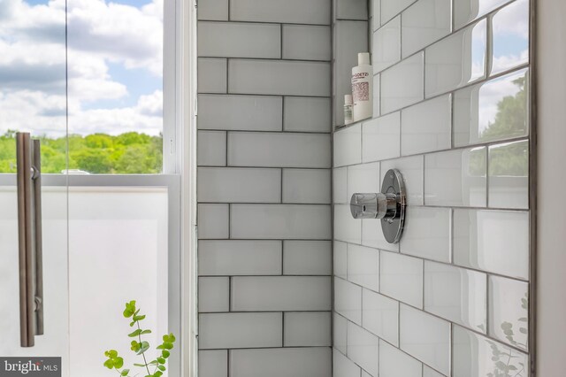 bathroom view of a tile shower