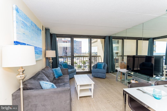 11500 Coastal Hwy Unit 317, Ocean City, MD 21842 - living room with wood finished floors and expansive windows