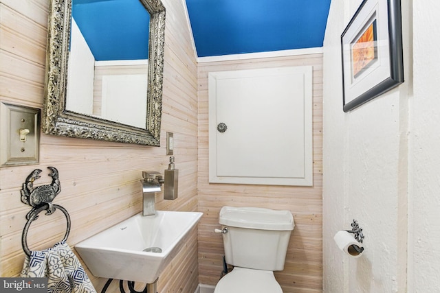 bathroom featuring toilet and a sink