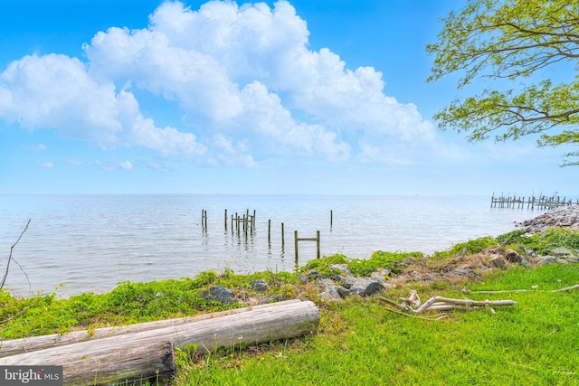 dock area with a water view