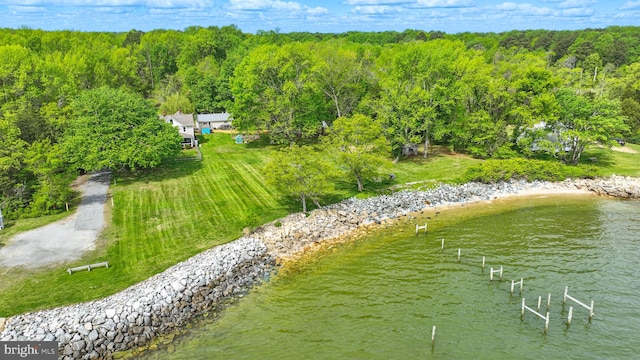 bird's eye view featuring a view of trees