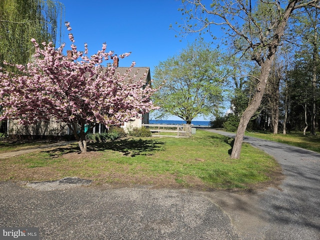 exterior space