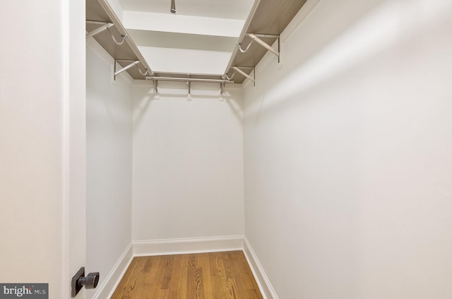 walk in closet featuring light wood-style flooring