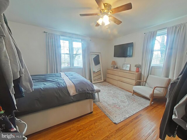2710 N 47th St, Philadelphia, PA 19131 - bedroom featuring multiple windows, wood finished floors, and ceiling fan