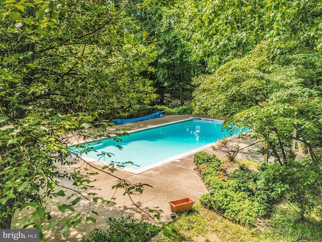 608 Silverstone Ct, Silver Spring, MD 20905 - view of outdoor pool