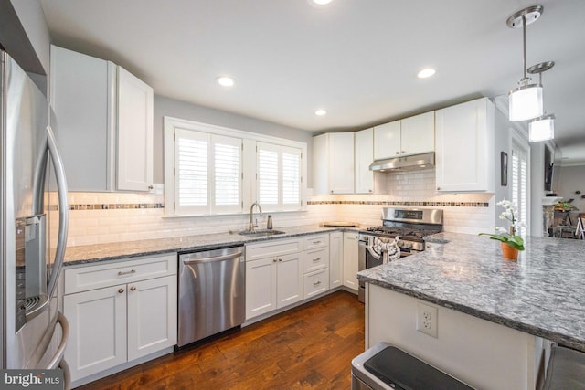 kitchen featuring a sink, appliances with stainless steel finishes, plenty of natural light, and under cabinet range hood