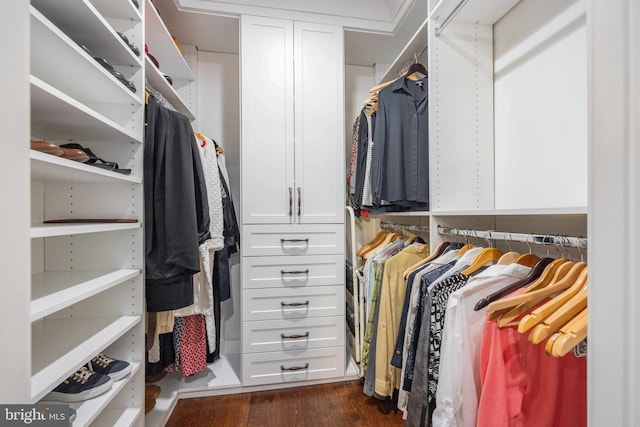 walk in closet featuring dark wood-type flooring