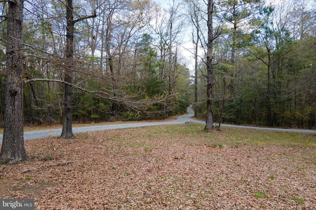 view of yard with a wooded view