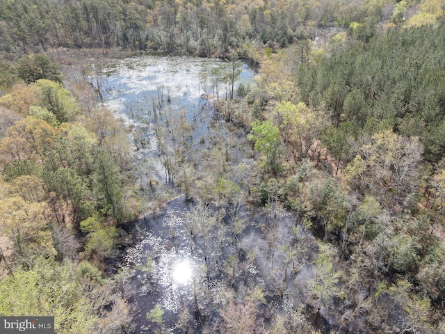 bird's eye view with a forest view and a water view