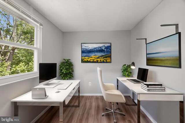 5694 Singletree Dr, Frederick, MD 21703 - office space with wood finished floors, plenty of natural light, and baseboards