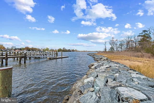 dock area with a water view