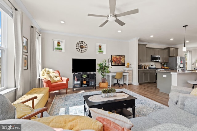 living area featuring plenty of natural light, light wood-style floors, and crown molding