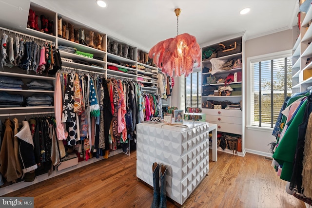 walk in closet with wood finished floors
