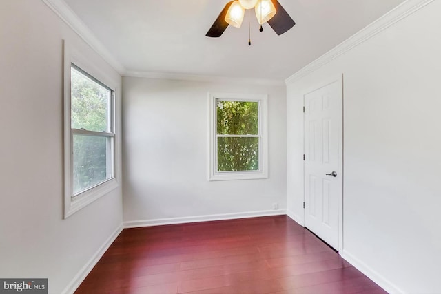 interior space with ornamental molding, baseboards, multiple windows, and wood finished floors