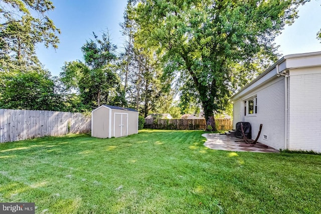 view of yard with an outbuilding, a fenced backyard, a patio, and a storage unit