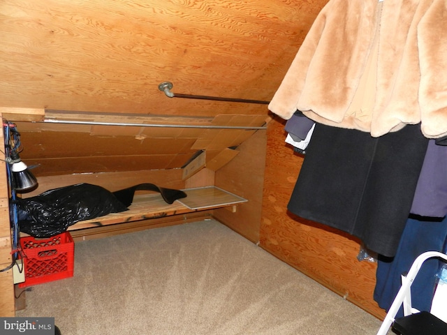 walk in closet featuring carpet flooring