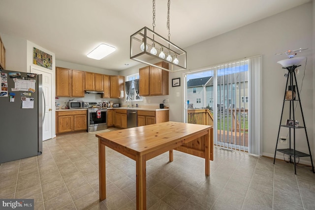 720 Birch Tree Ln, Smyrna, DE 19977 - kitchen featuring appliances with stainless steel finishes, a sink, plenty of natural light, and light countertops