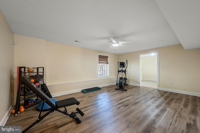 121 Carnmore Dr, Winchester, VA 22602 - exercise room with wood finished floors, baseboards, and ceiling fan