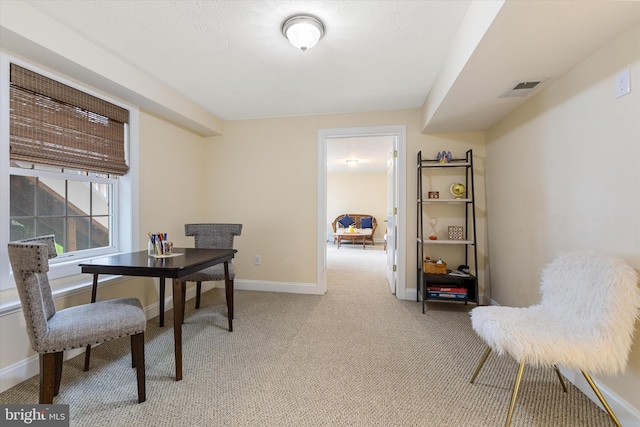 121 Carnmore Dr, Winchester, VA 22602 - home office with light carpet and baseboards