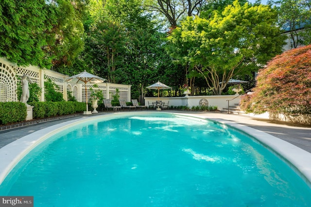 2838 Mcgill Ter NW, Washington, DC 20008 - view of swimming pool