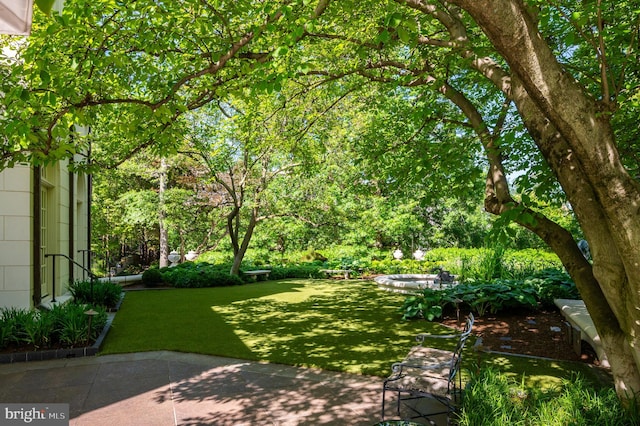 2838 Mcgill Ter NW, Washington, DC 20008 - view of green lawn featuring a patio area