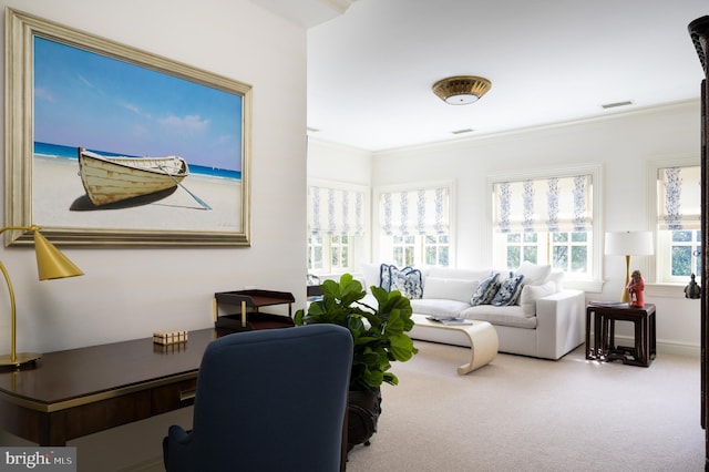 2838 Mcgill Ter NW, Washington, DC 20008 - office area featuring carpet and ornamental molding
