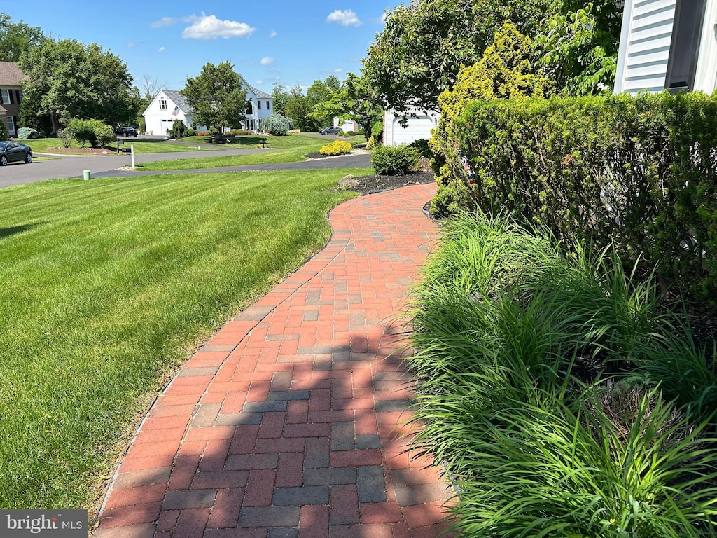 surrounding community with a lawn and a residential view