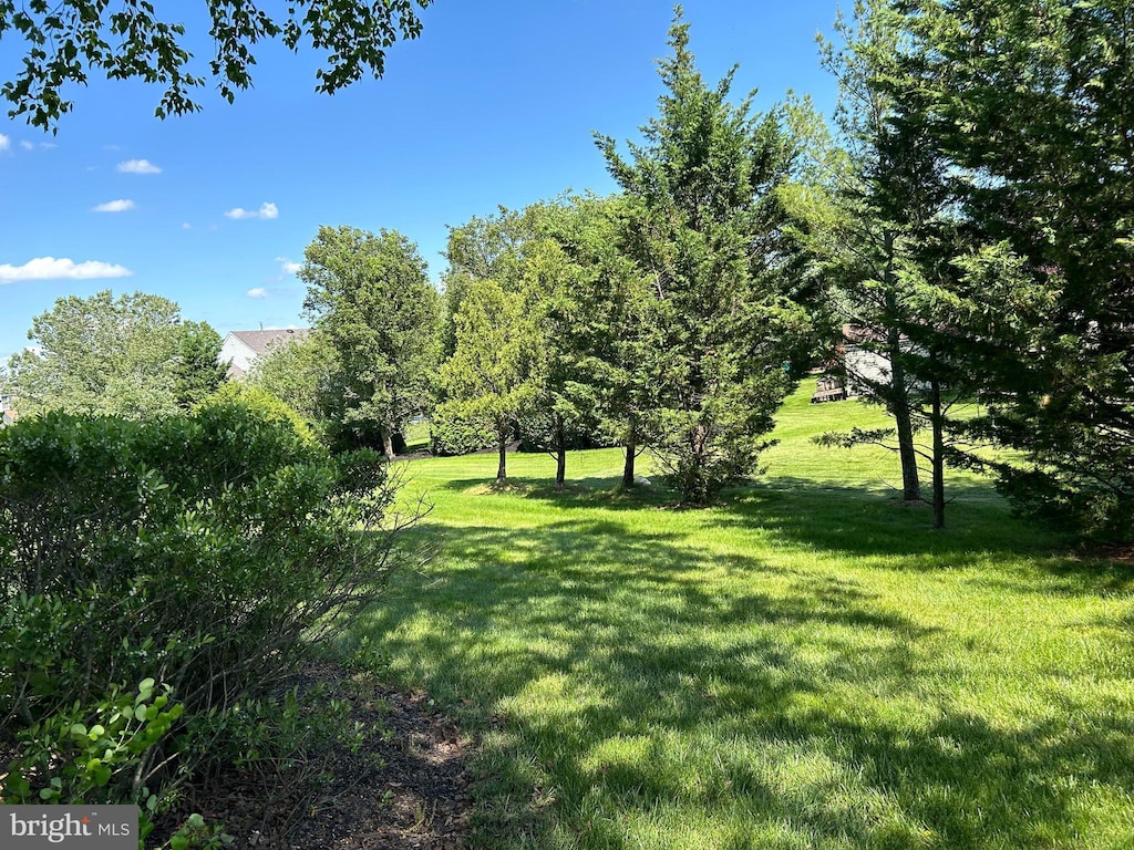 view of grassy yard