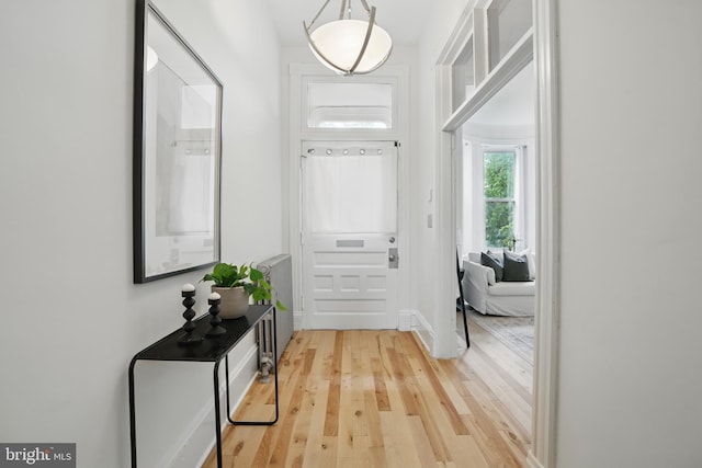 doorway to outside with light wood-style floors