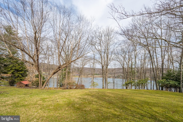 1909 Marsh Hill Rd, Mc Henry, MD 21541 - view of yard featuring a water view