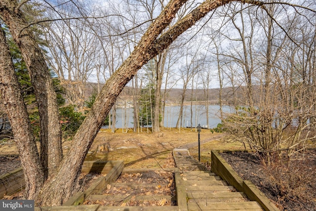 1909 Marsh Hill Rd, Mc Henry, MD 21541 - view of yard featuring a water view