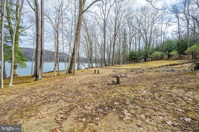 1909 Marsh Hill Rd, Mc Henry, MD 21541 - view of yard with a water view