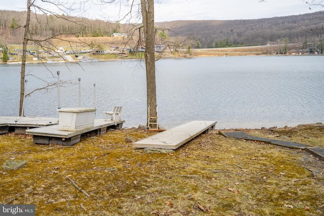 1909 Marsh Hill Rd, Mc Henry, MD 21541 - dock area with a water view