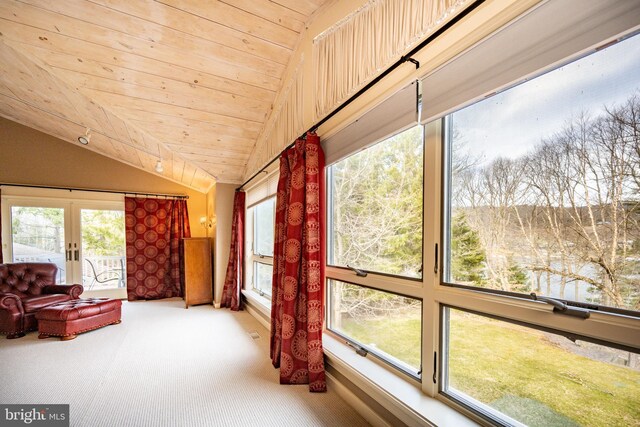 1909 Marsh Hill Rd, Mc Henry, MD 21541 - sunroom with french doors, wood ceiling, carpet, and lofted ceiling