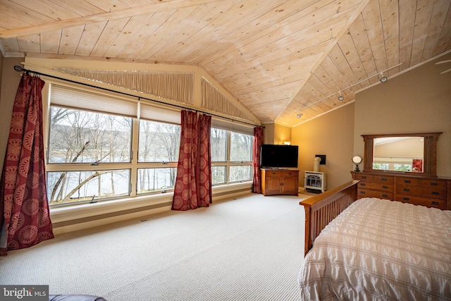 1909 Marsh Hill Rd, Mc Henry, MD 21541 - carpeted bedroom with heating unit, visible vents, vaulted ceiling, and wood ceiling