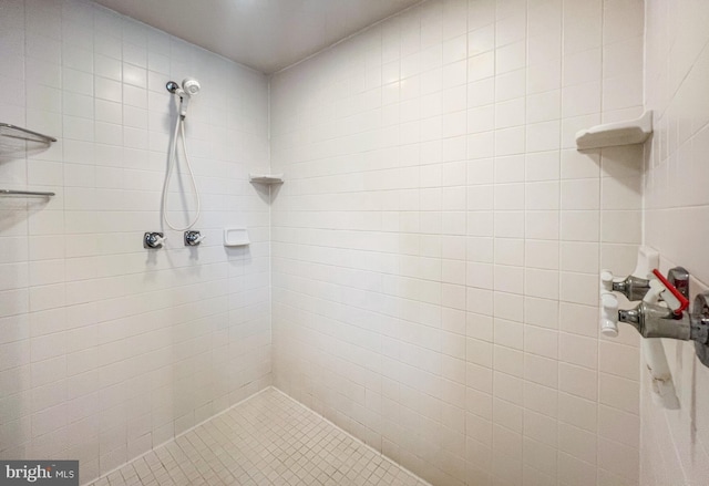 1909 Marsh Hill Rd, Mc Henry, MD 21541 - bathroom featuring a tile shower