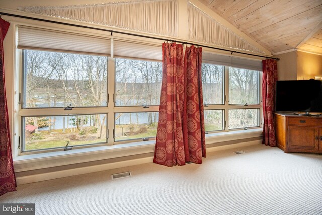 1909 Marsh Hill Rd, Mc Henry, MD 21541 - living room with carpet, vaulted ceiling, and visible vents