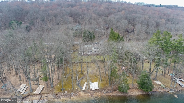 1909 Marsh Hill Rd, Mc Henry, MD 21541 - aerial view featuring a forest view