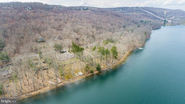1909 Marsh Hill Rd, Mc Henry, MD 21541 - aerial view with a water view and a view of trees