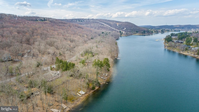1909 Marsh Hill Rd, Mc Henry, MD 21541 - drone / aerial view with a water and mountain view