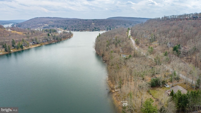 1909 Marsh Hill Rd, Mc Henry, MD 21541 - birds eye view of property featuring a view of trees and a water and mountain view