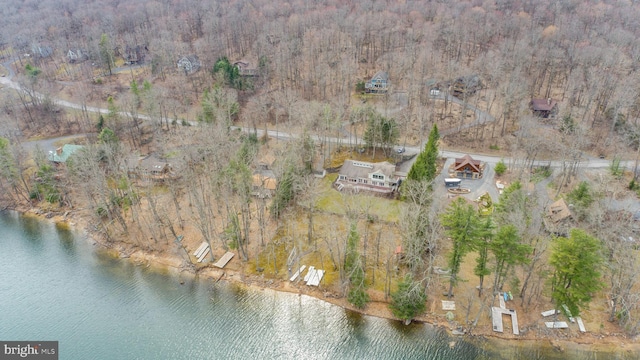 1909 Marsh Hill Rd, Mc Henry, MD 21541 - bird's eye view with a water view and a view of trees